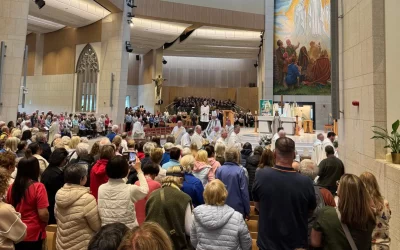 Diocesan Pilgrimage to Knock 2026